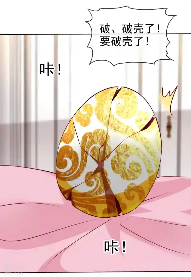 冰山总裁强宠婚第214话 生出的崽崽居然是？！