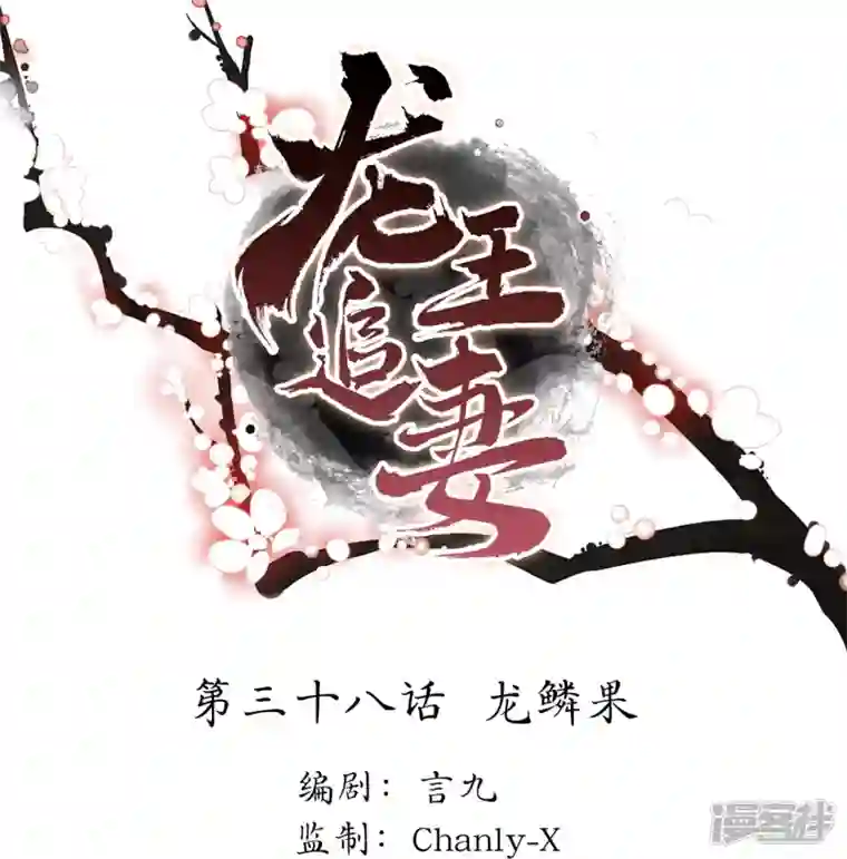 龙王追妻第38话 龙鳞果