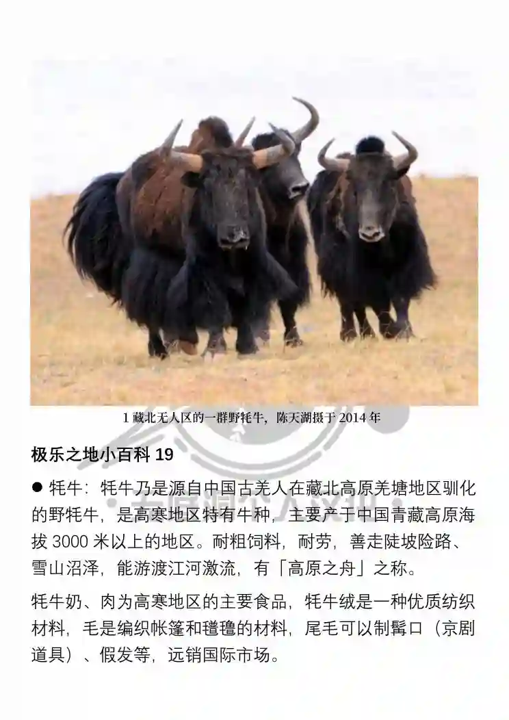 极乐之地第19话