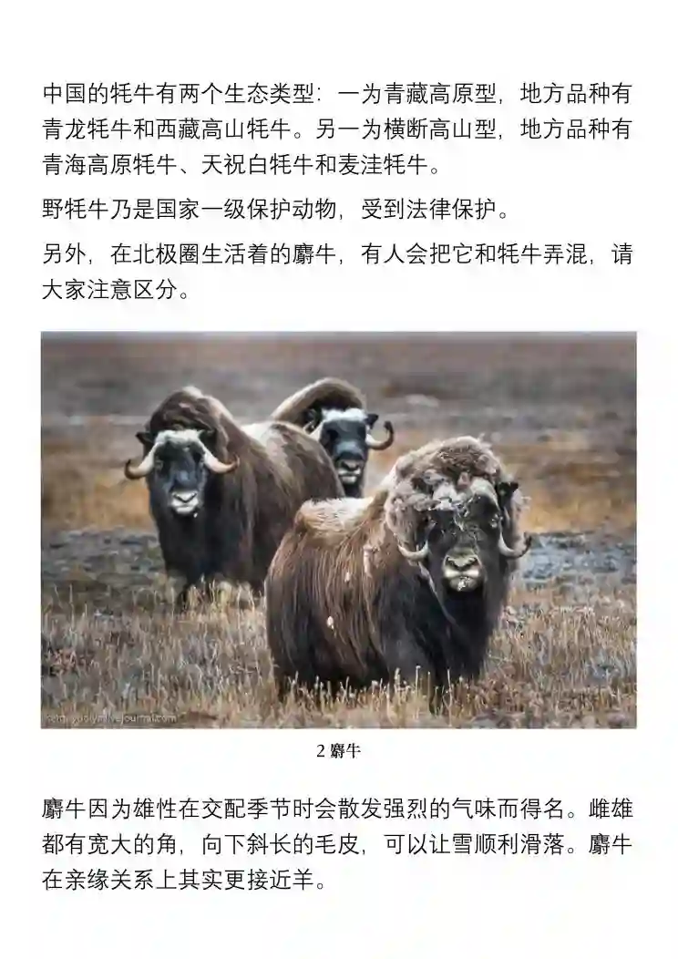 极乐之地第19话