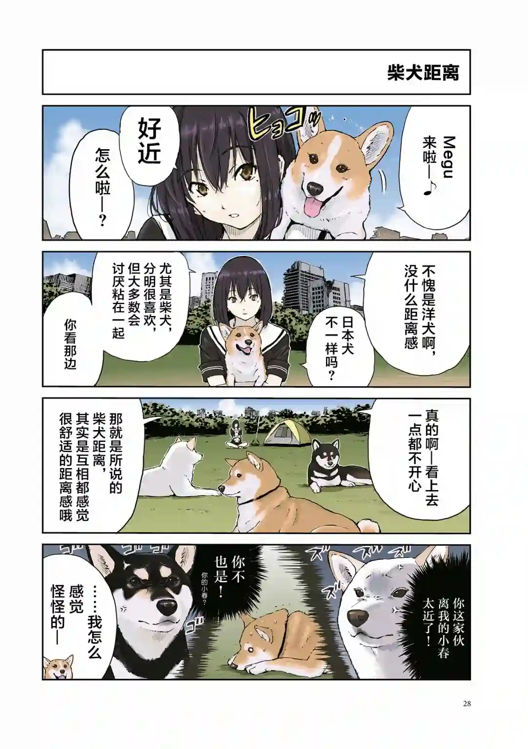 世界末日柴犬为伴第19话