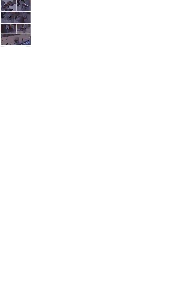 瓦图42-水道