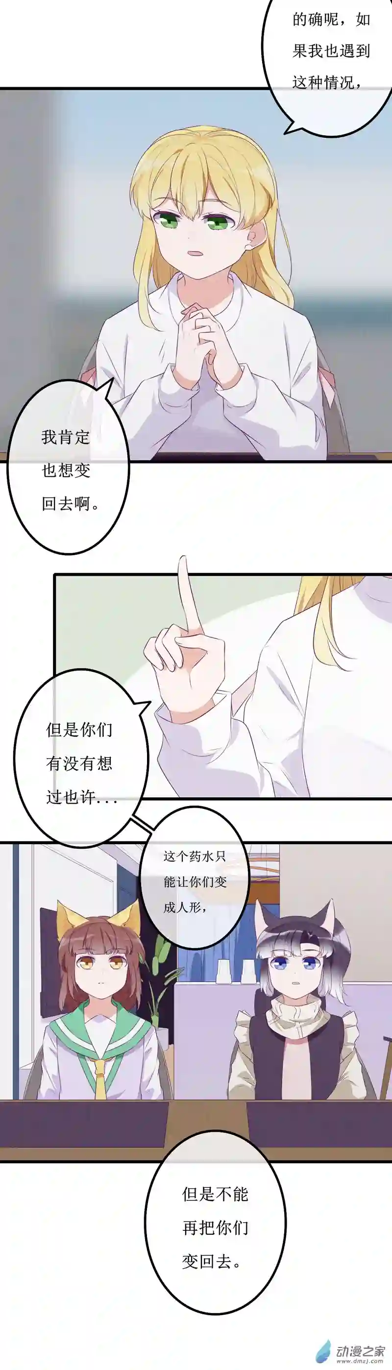 猫里狗气14 投宿2