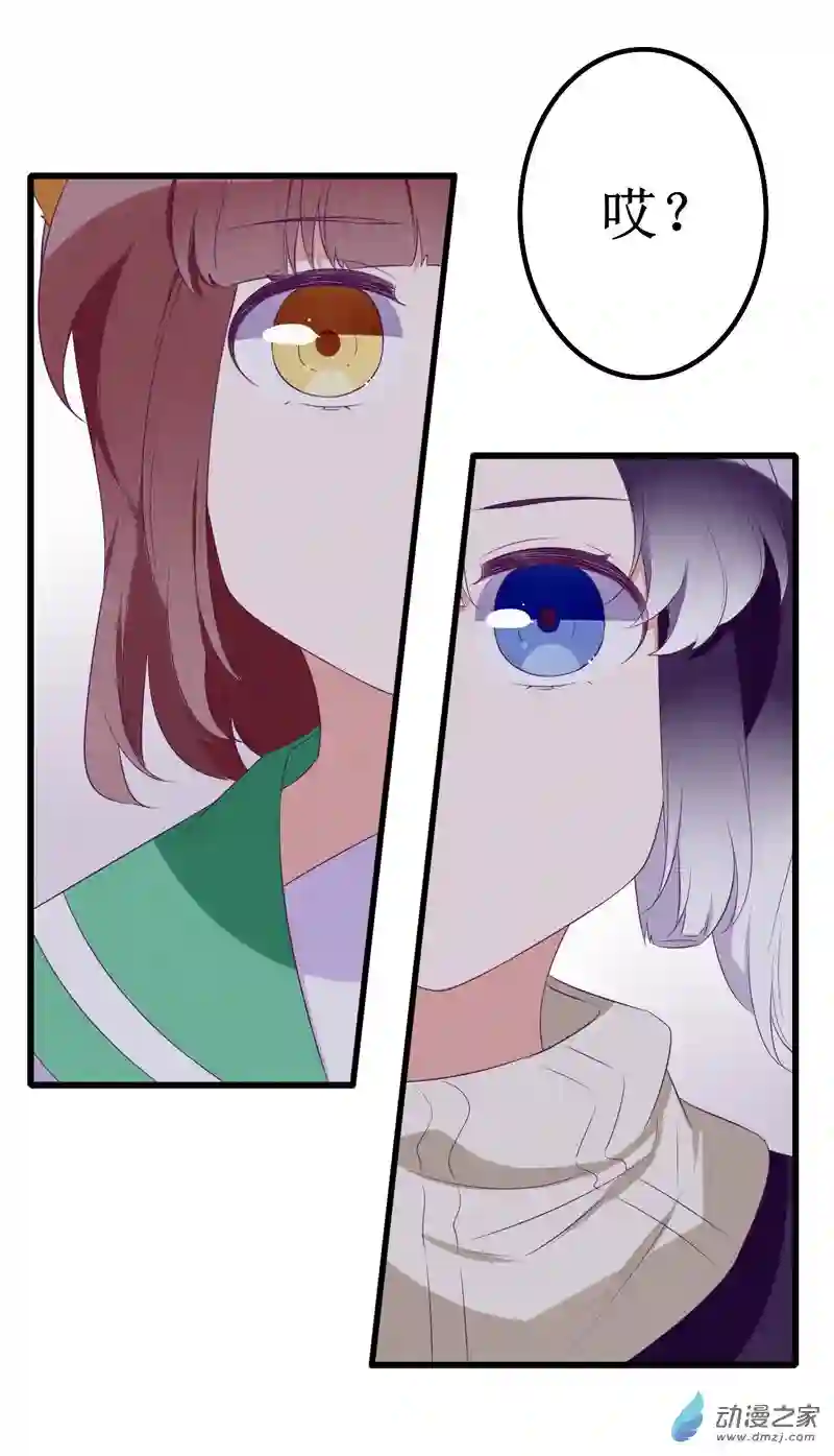 猫里狗气14 投宿2