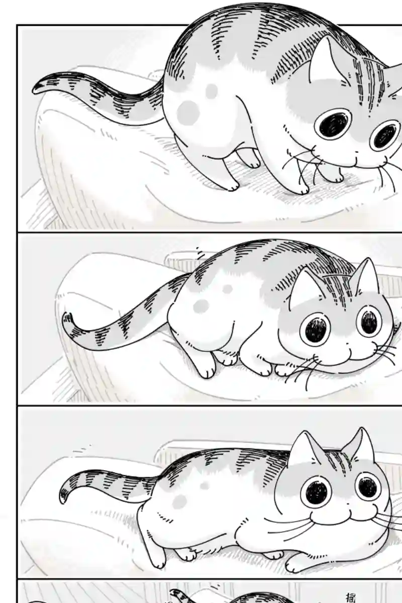 关于养猫我一直是新手第104话