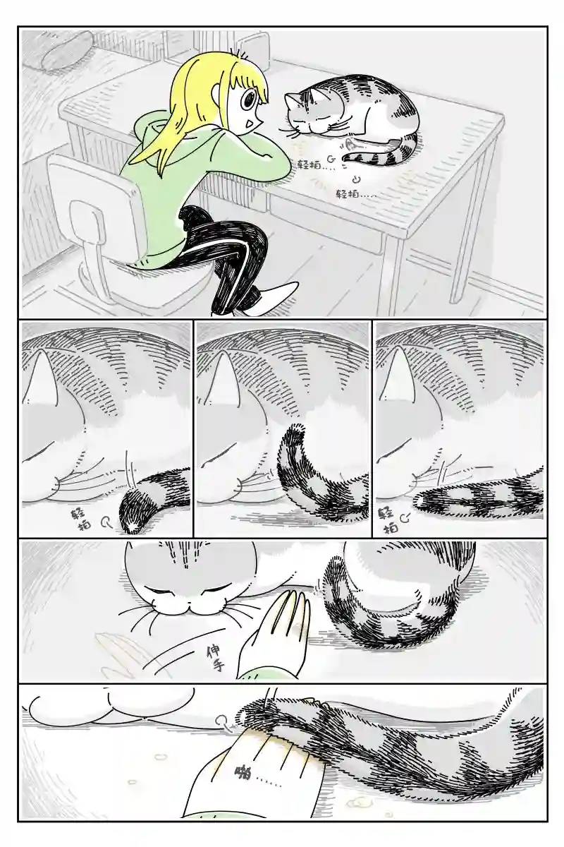 关于养猫我一直是新手第106话