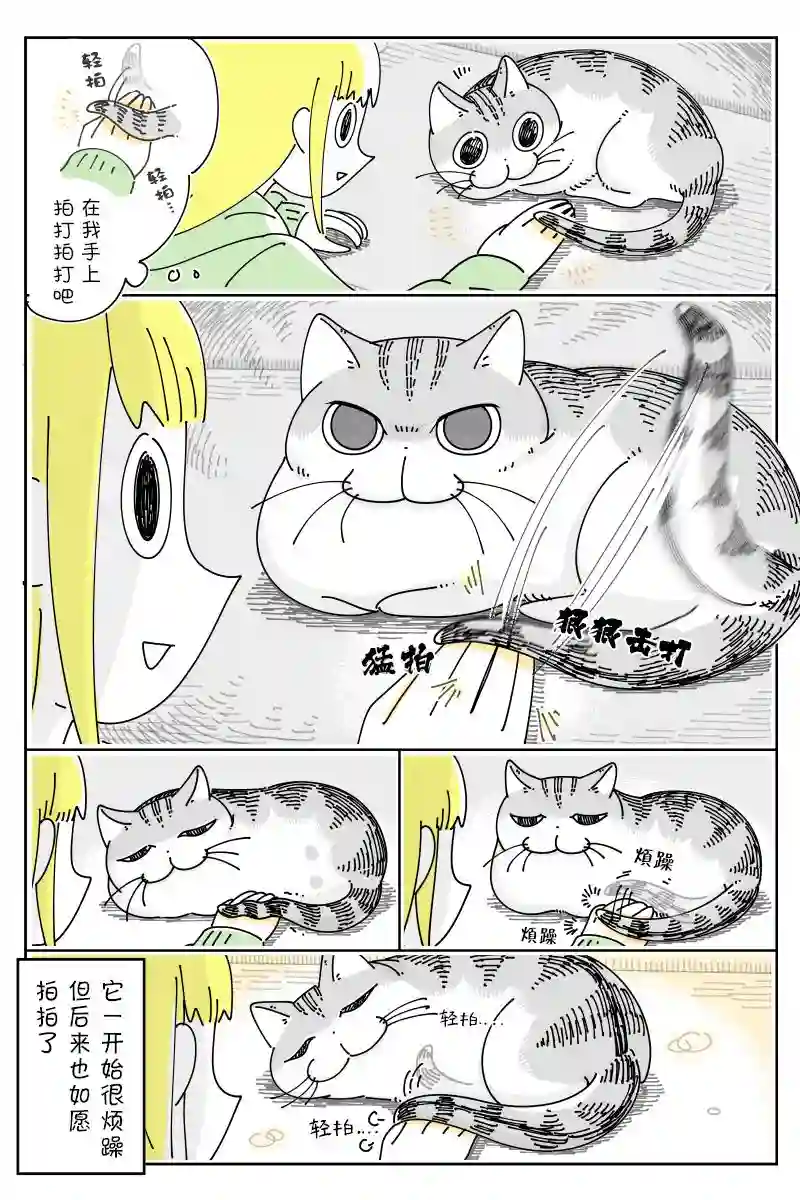 关于养猫我一直是新手第106话