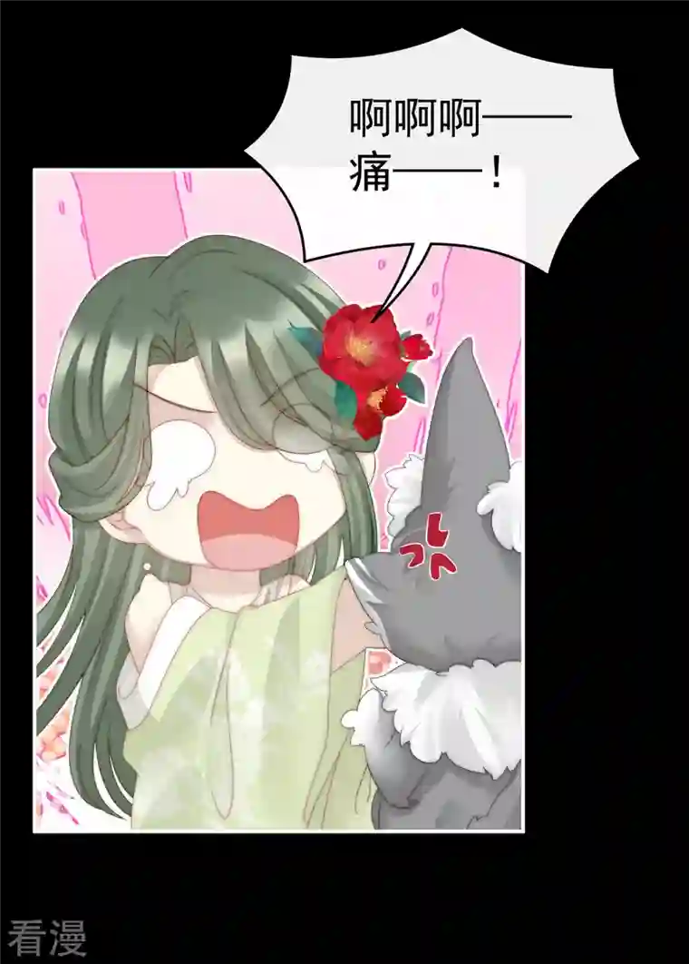 妻主，请享用第20话 白嫖一只狼崽