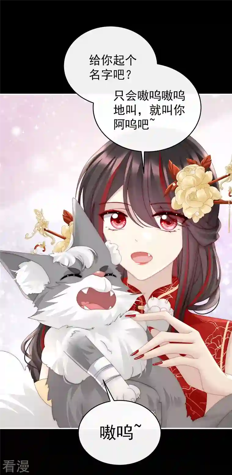 妻主，请享用第20话 白嫖一只狼崽
