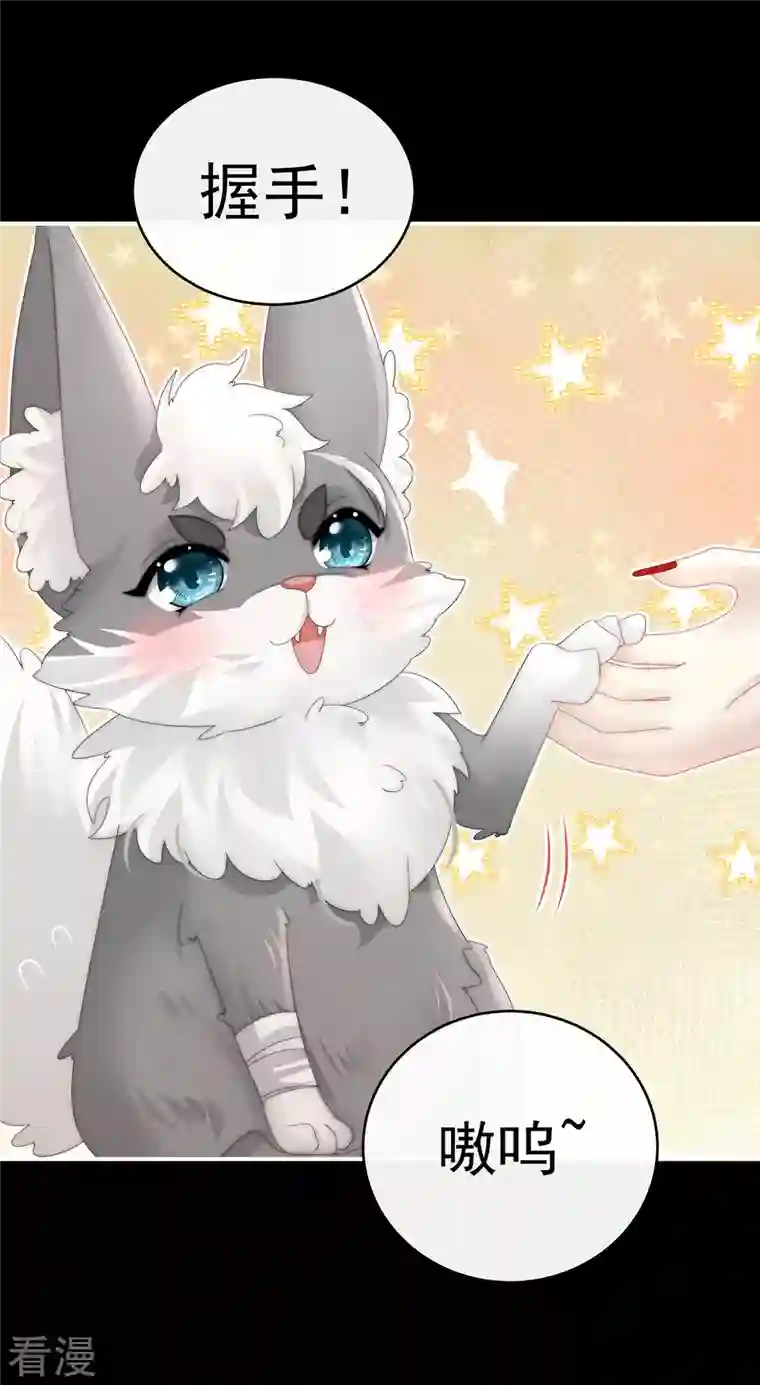 妻主，请享用第20话 白嫖一只狼崽