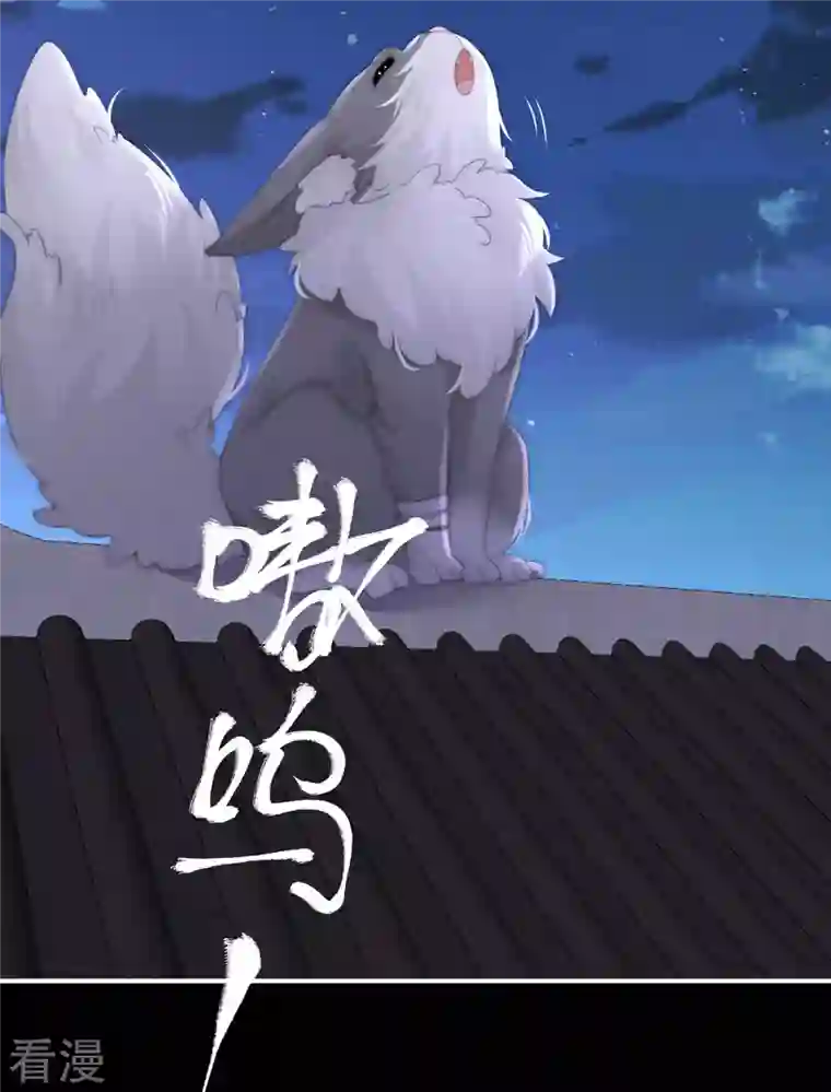 妻主，请享用第20话 白嫖一只狼崽