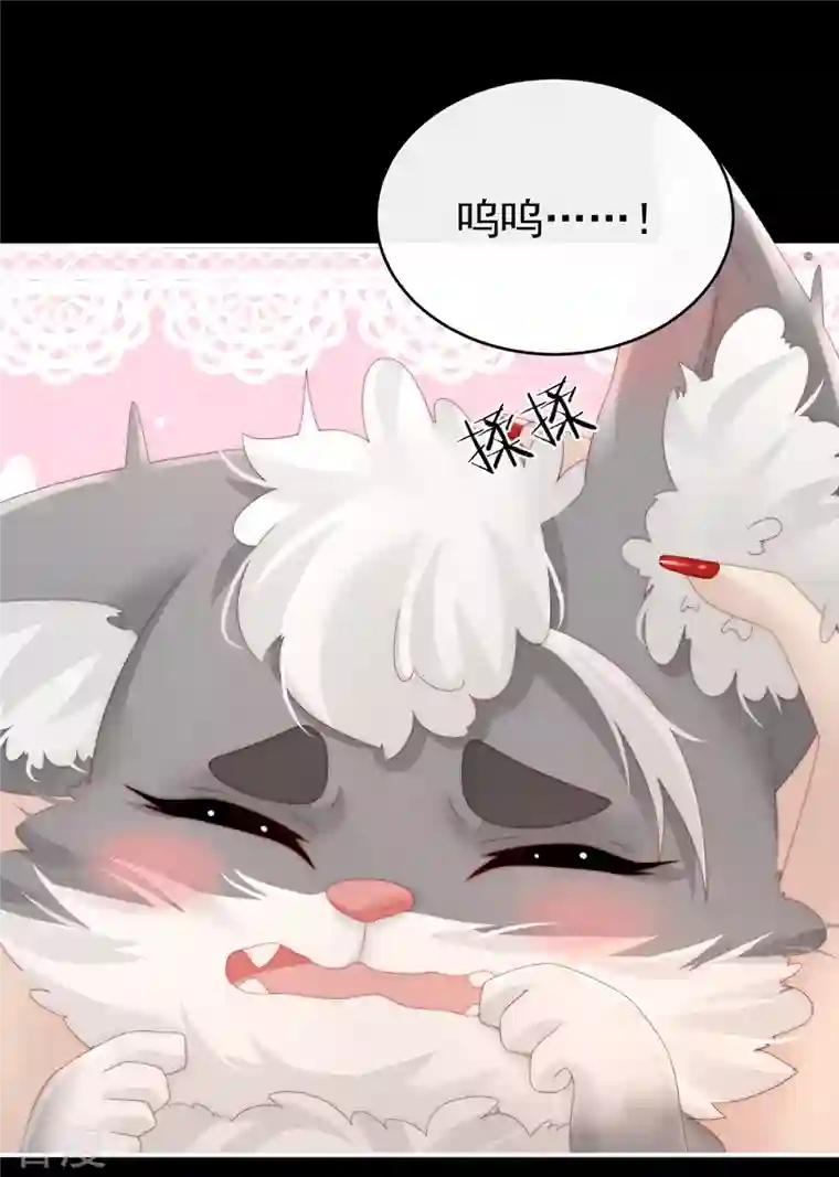 妻主，请享用第20话 白嫖一只狼崽