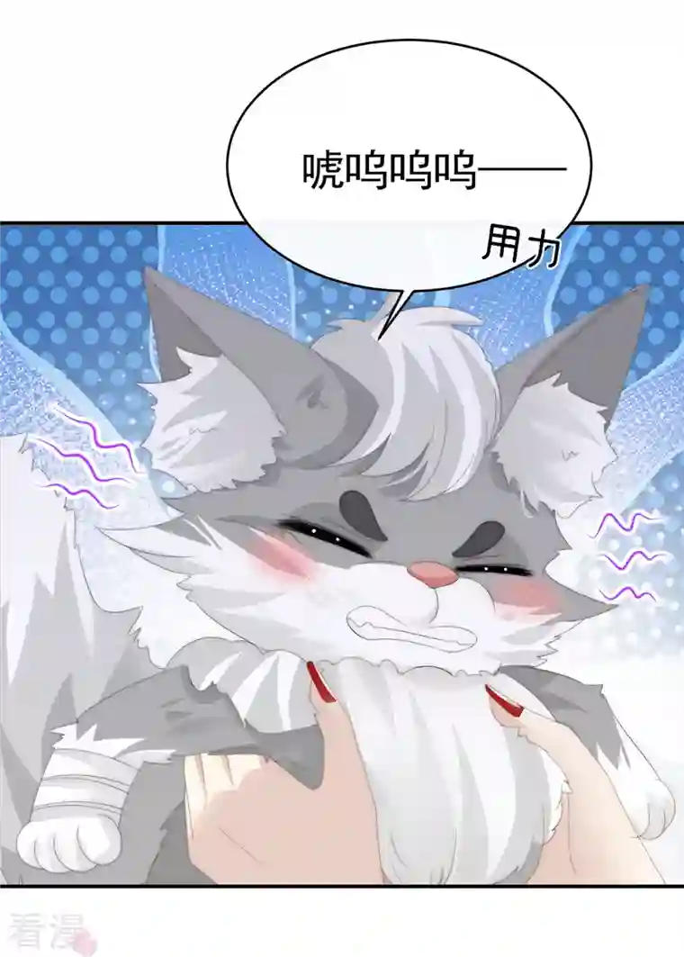 妻主，请享用第21话 尝尝崽崽