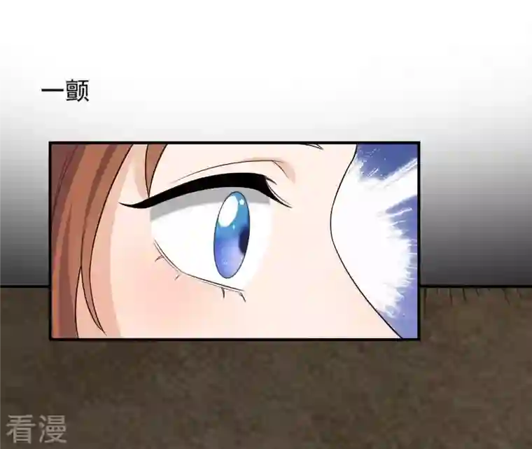 再生缘：我的温柔暴君第99话 信物