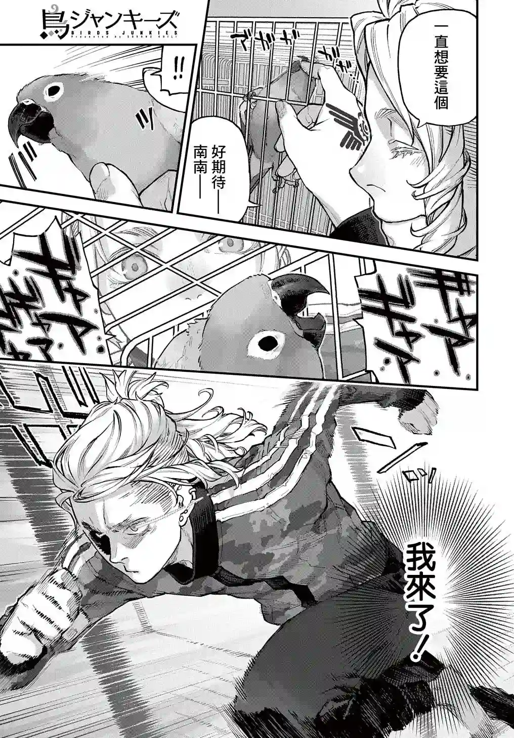 鸟成瘾者第26话