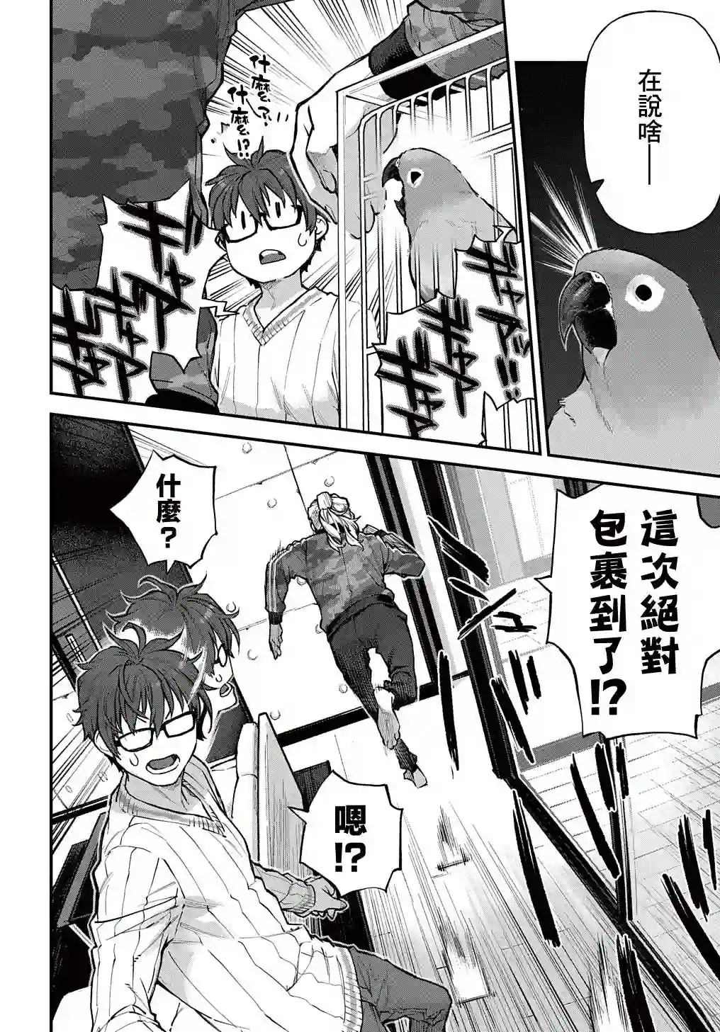 鸟成瘾者第26话