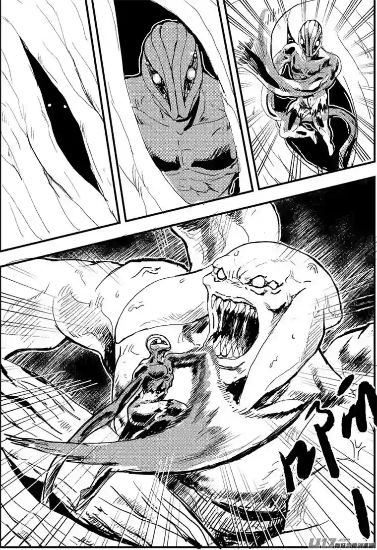 物种热血激斗篇19号