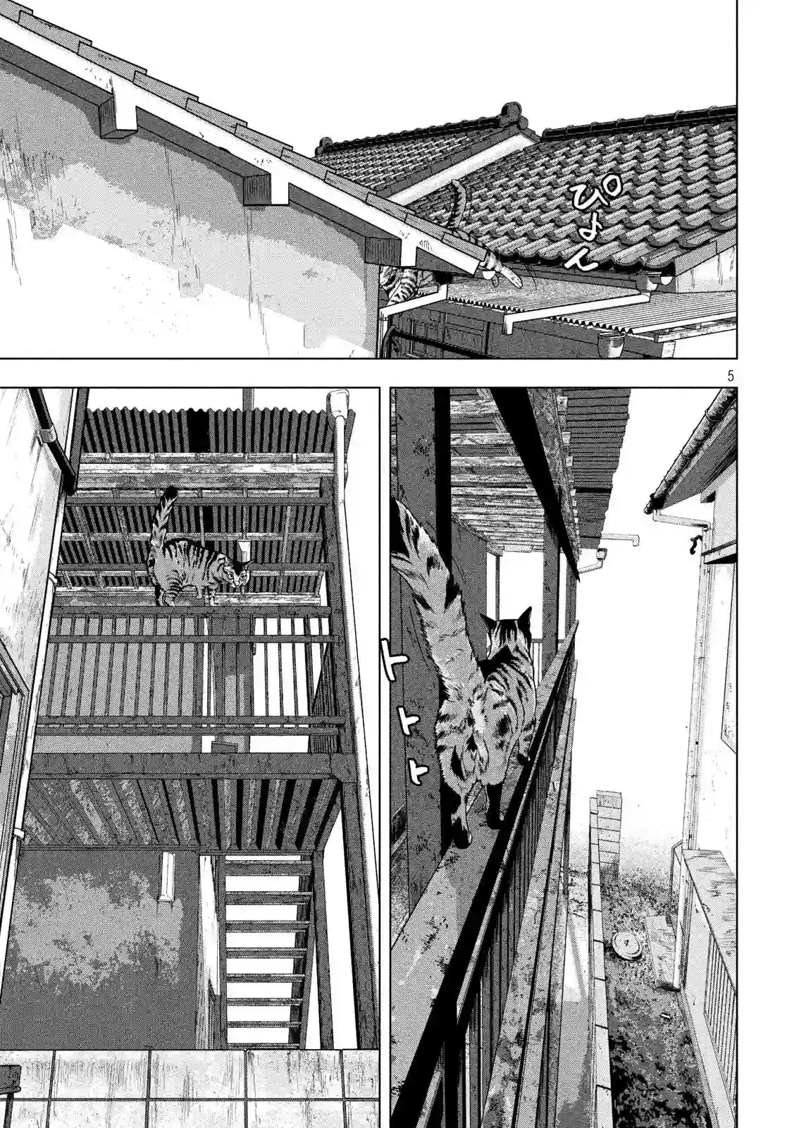 地下忍者第41话