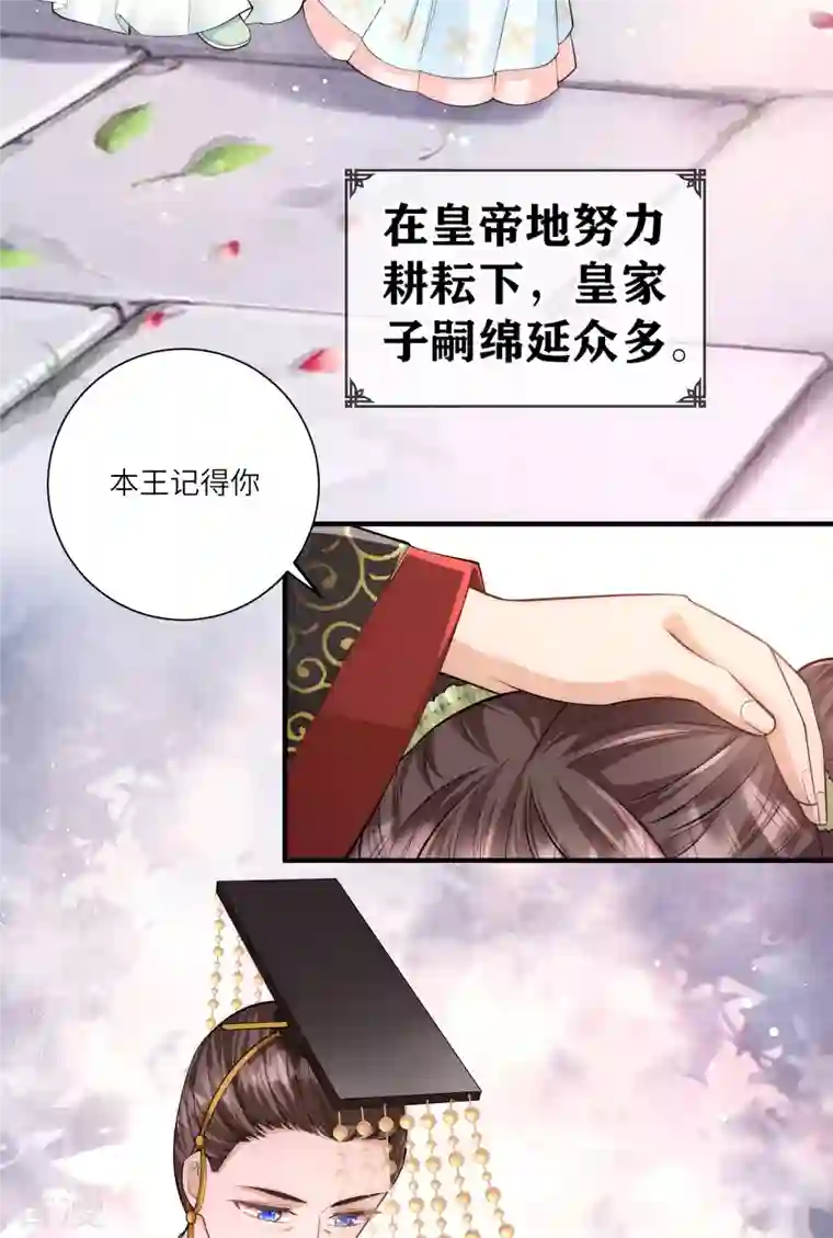 团宠公主三岁半预告