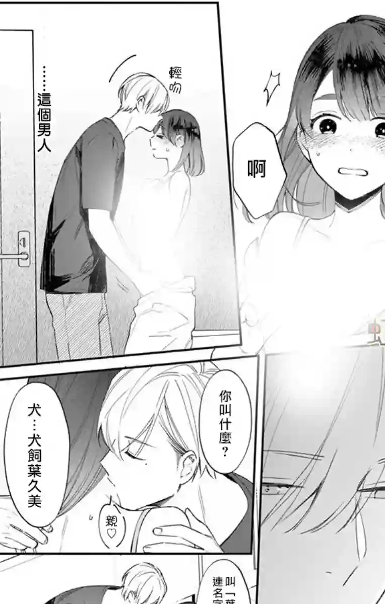 那份溺爱以谎为馅前篇