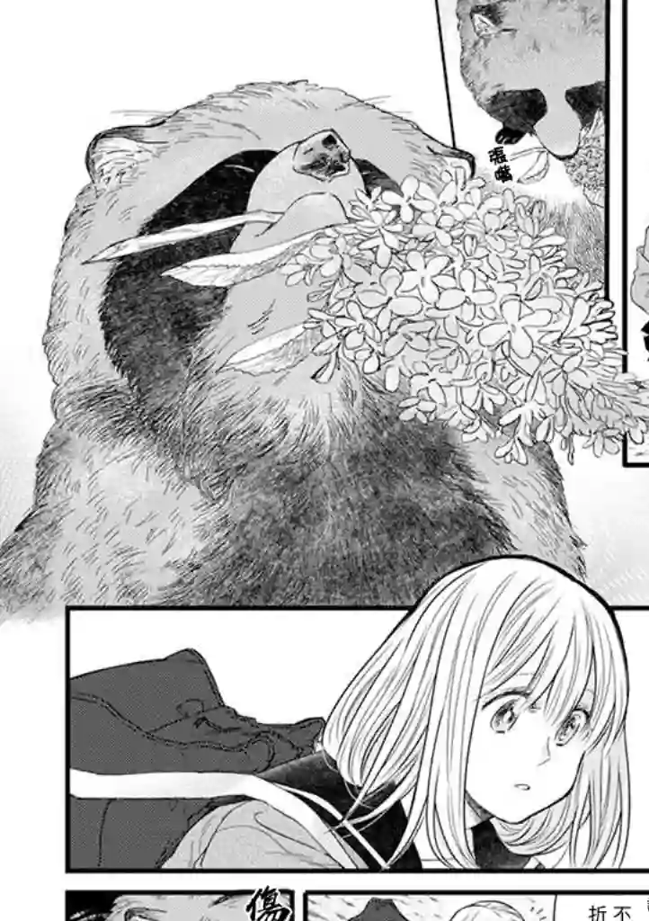 狸猫恋。第01话