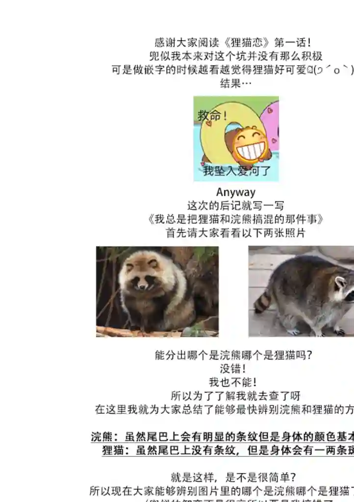 狸猫恋。第01话