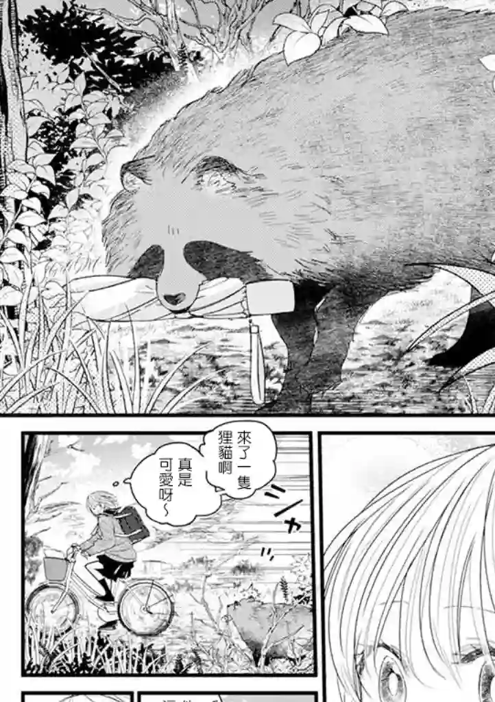 狸猫恋。第01话