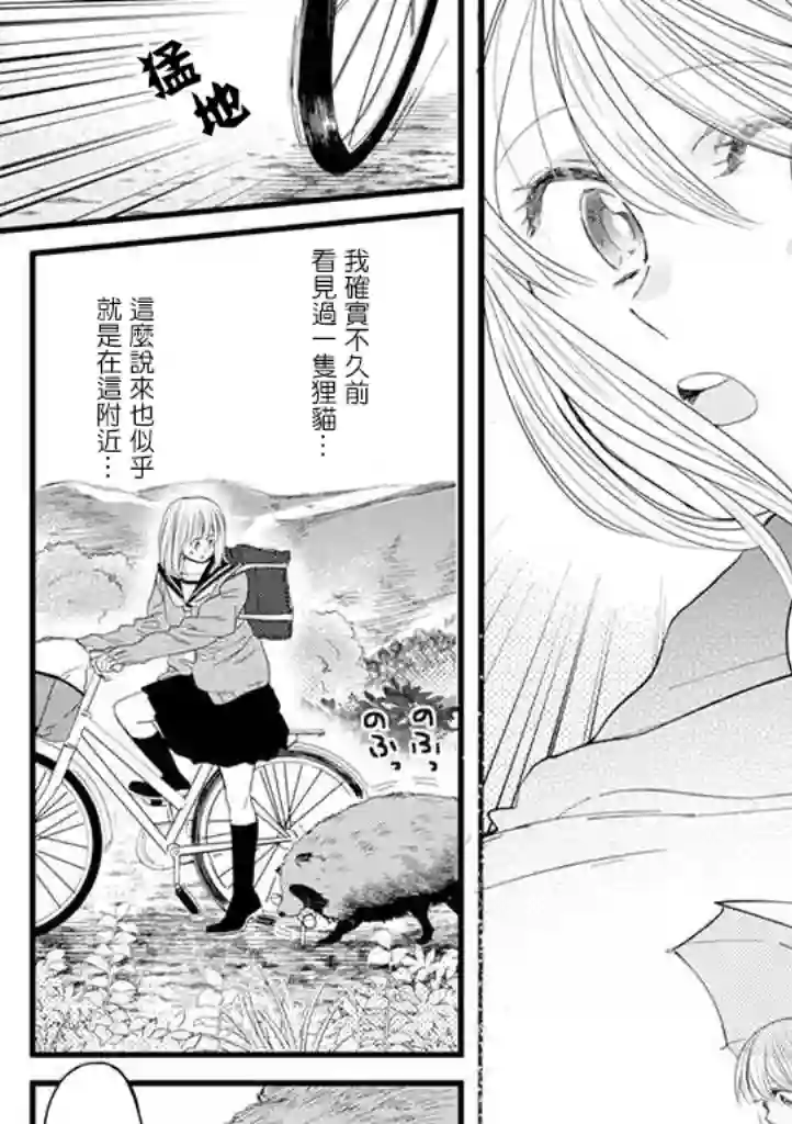 狸猫恋。第01话