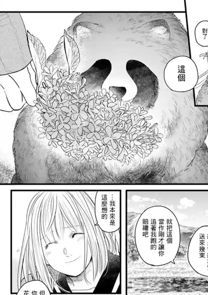 狸猫恋。第01话