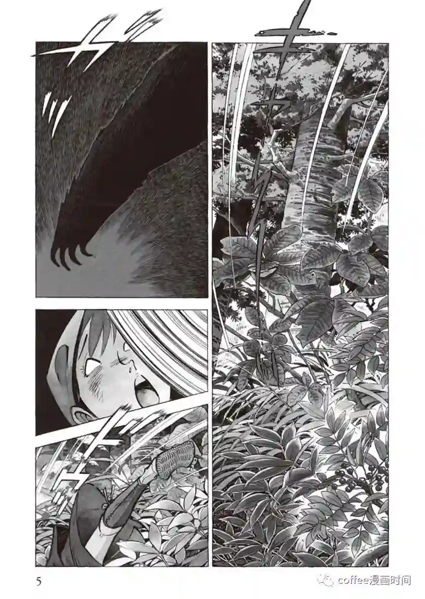 野性传说 熊风第01话