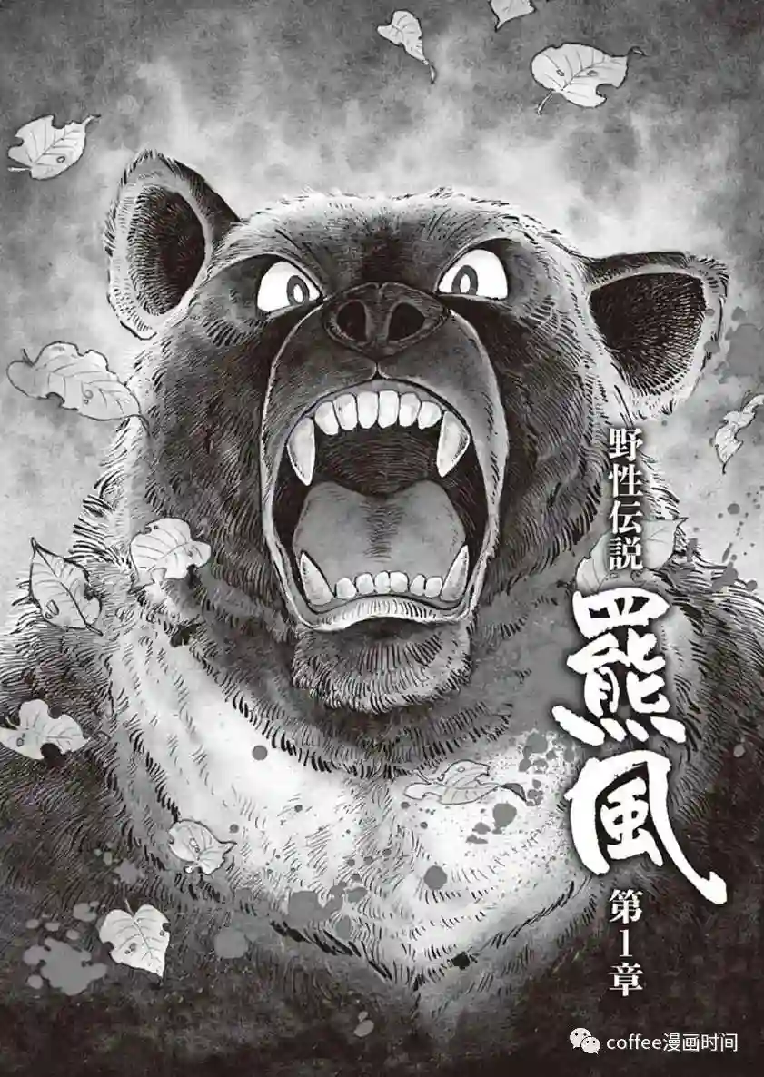 野性传说 熊风第01话