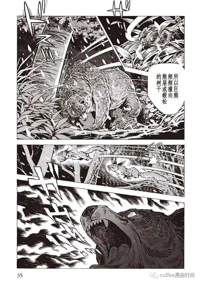 野性传说 熊风第01话