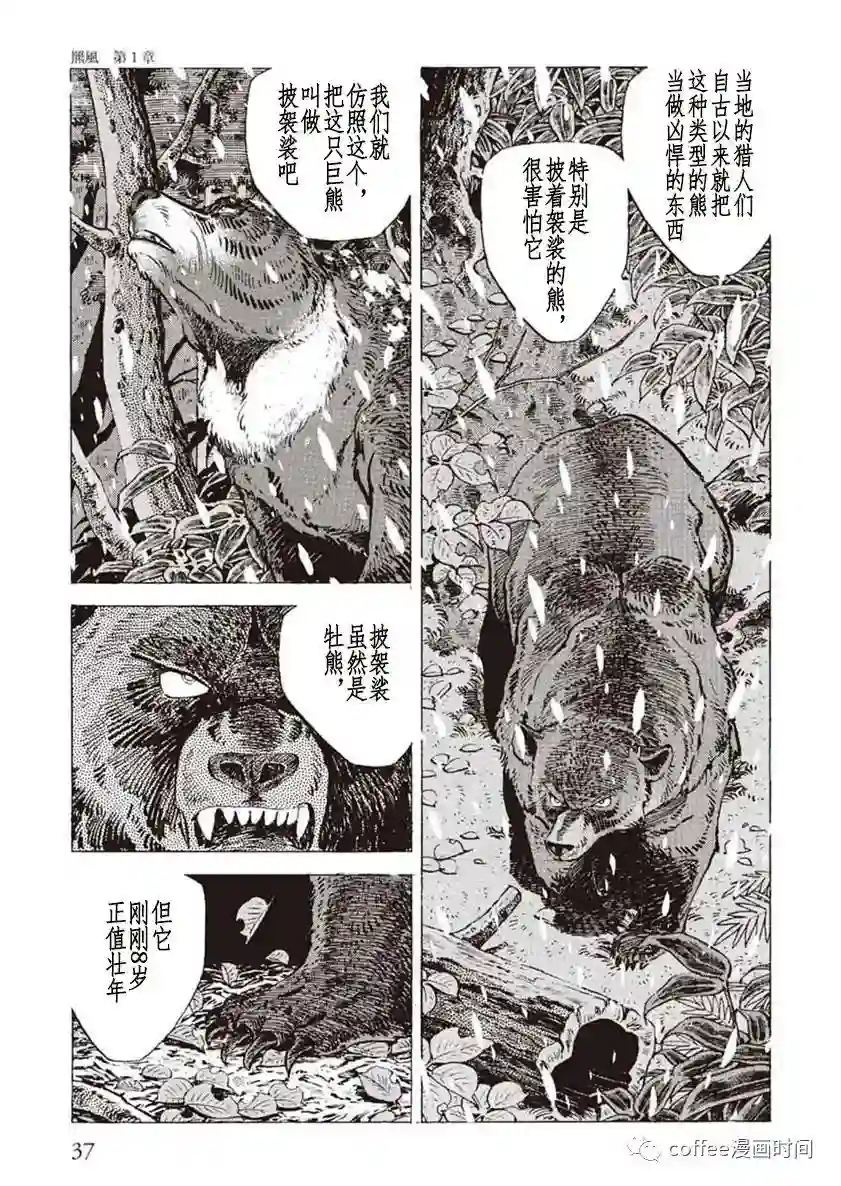 野性传说 熊风第01话