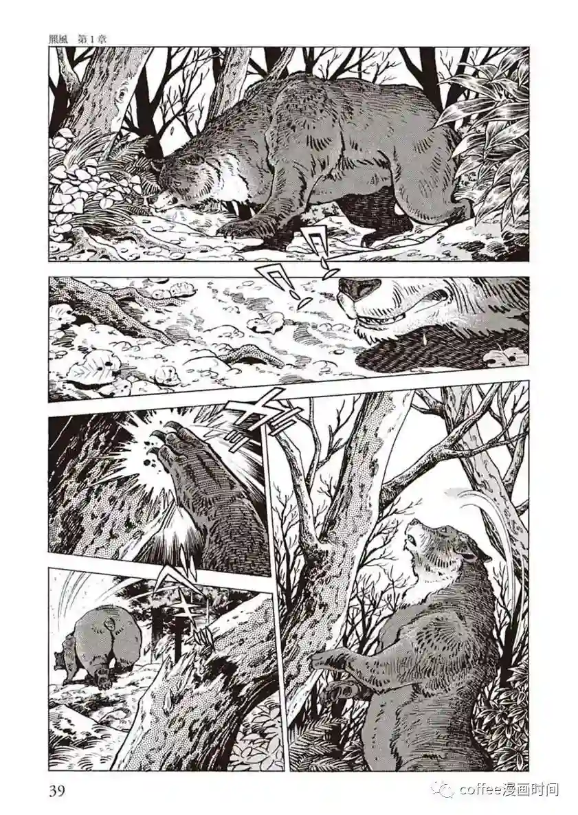 野性传说 熊风第01话