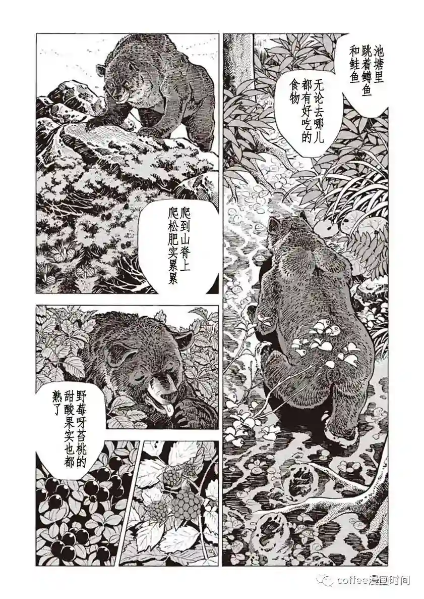 野性传说 熊风第01话