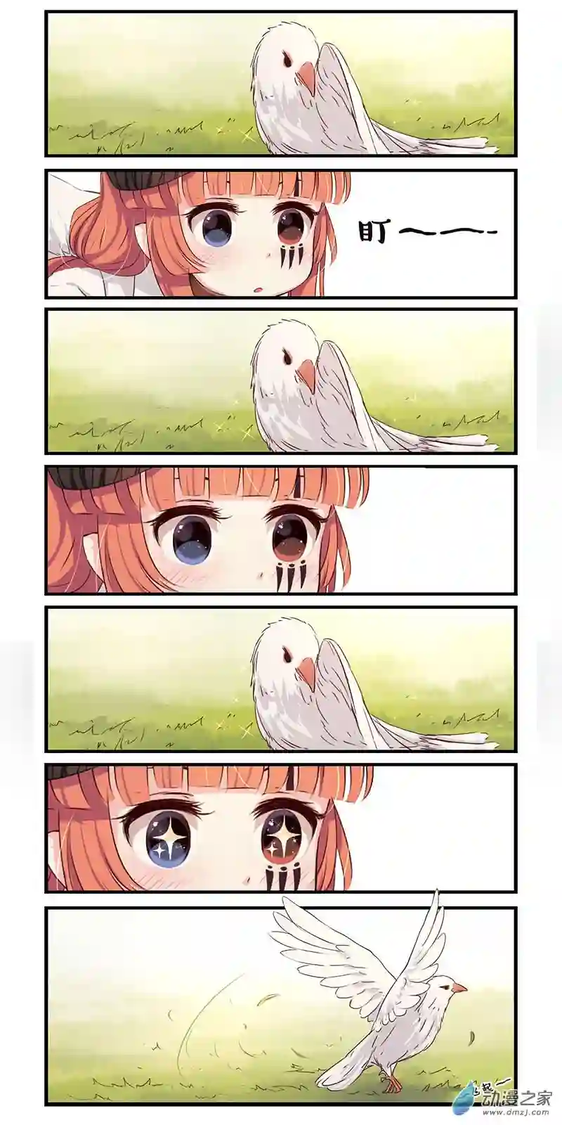 龙隐第09话 鸽子