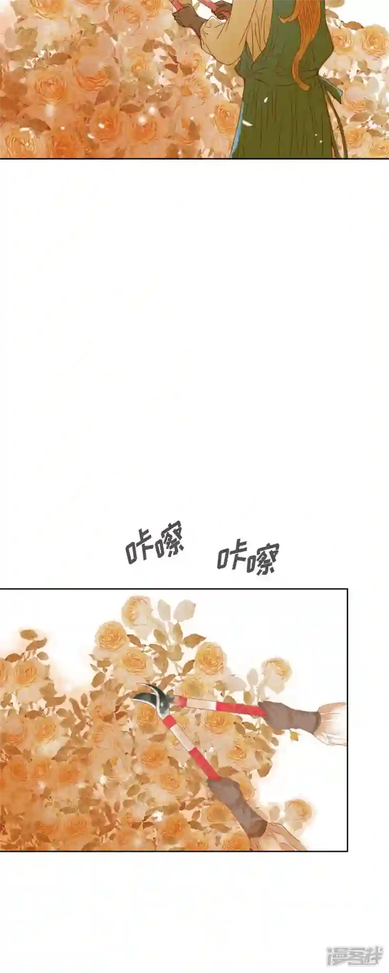 美女是野兽第8话 魔法师的玫瑰