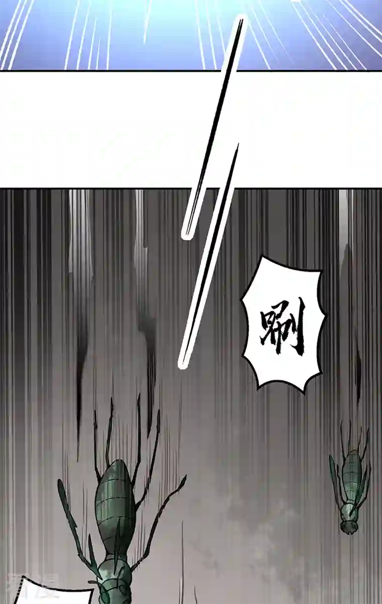 武道独尊第385话 斗虫