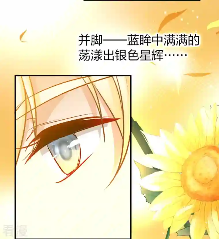 寻找前世之旅第2季第129话 向日葵花语1
