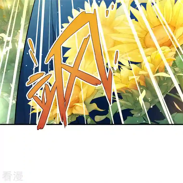 寻找前世之旅第2季第130话 向日葵花语2