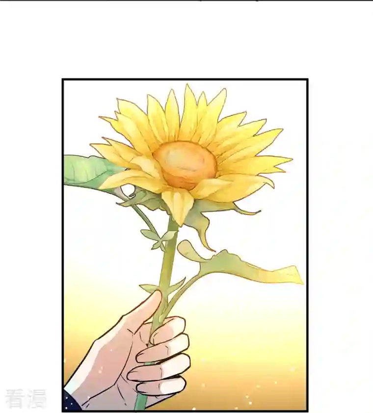 寻找前世之旅第2季第130话 向日葵花语2