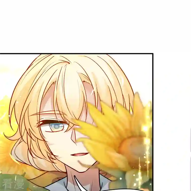 寻找前世之旅第2季第130话 向日葵花语2