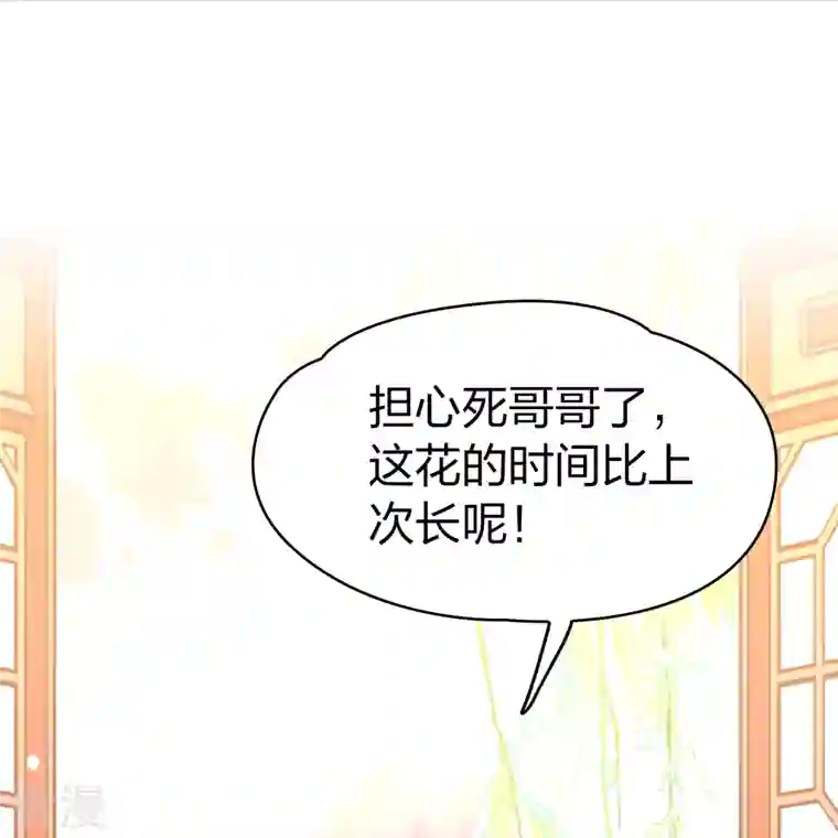 寻找前世之旅第2季第130话 向日葵花语2