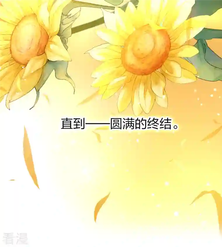 寻找前世之旅第2季第130话 向日葵花语2