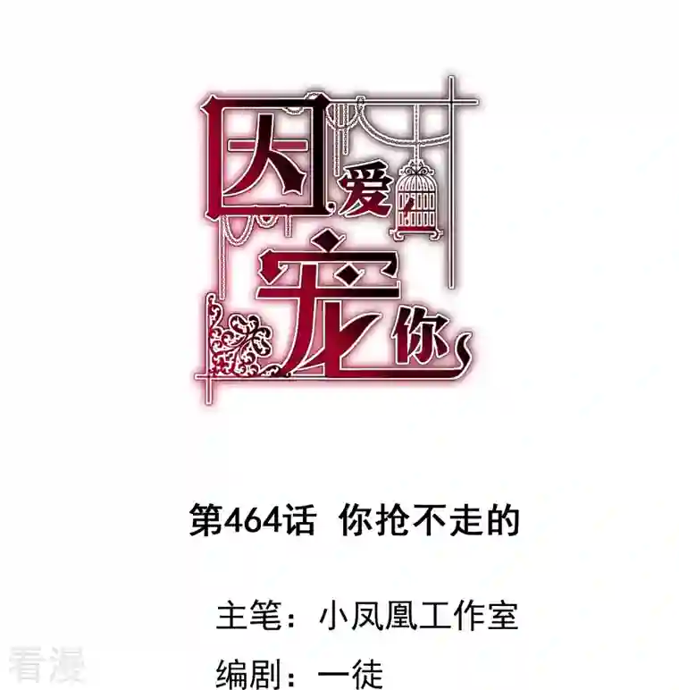 因爱宠你第464话