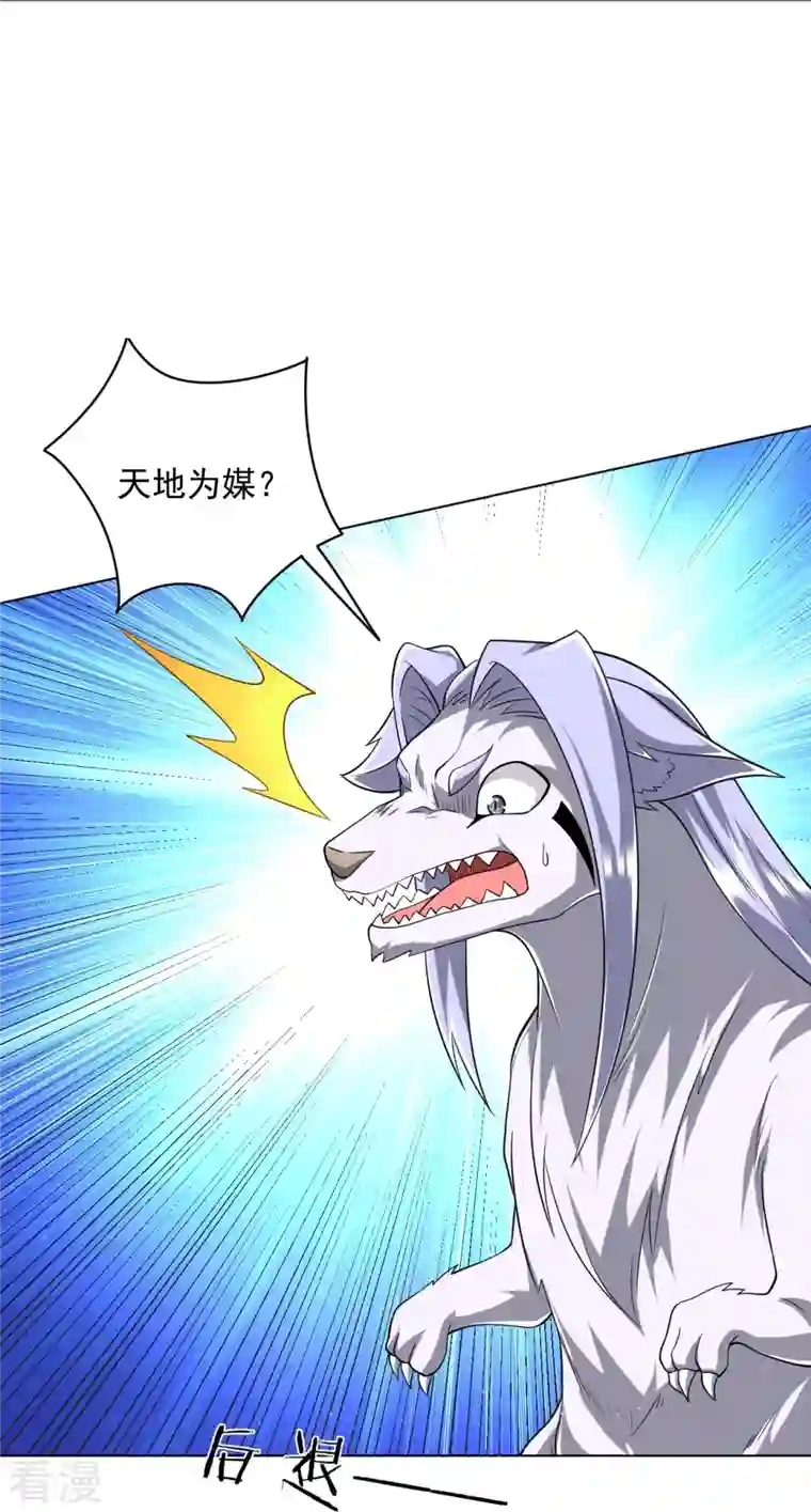 一等家丁第306话 神秘的功夫