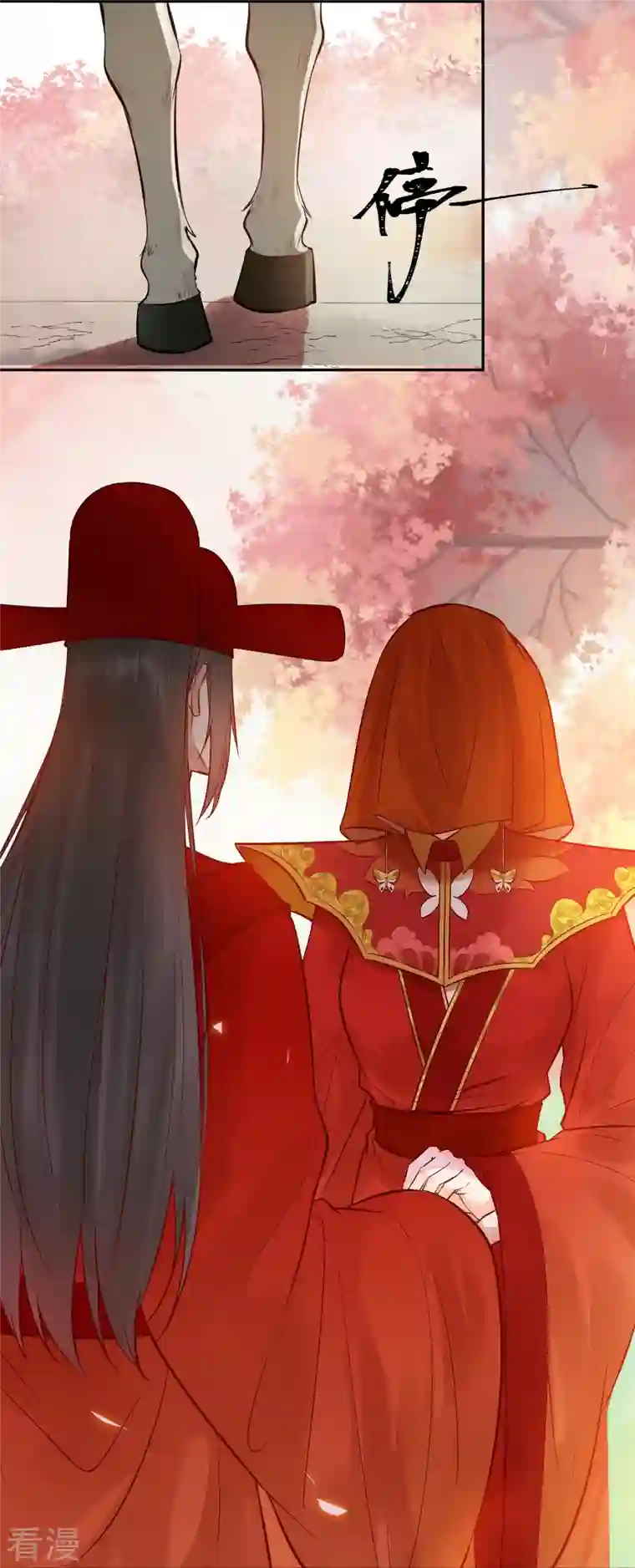 杀手王妃不好惹第135话 礼成