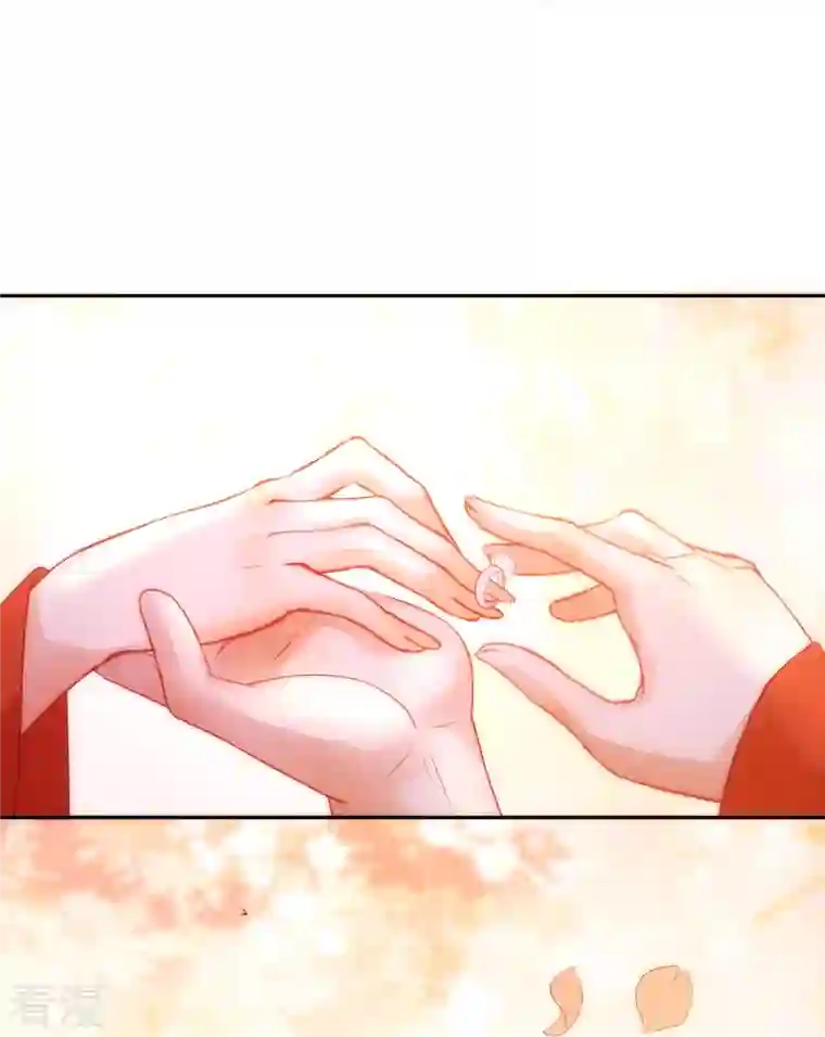 杀手王妃不好惹第135话 礼成