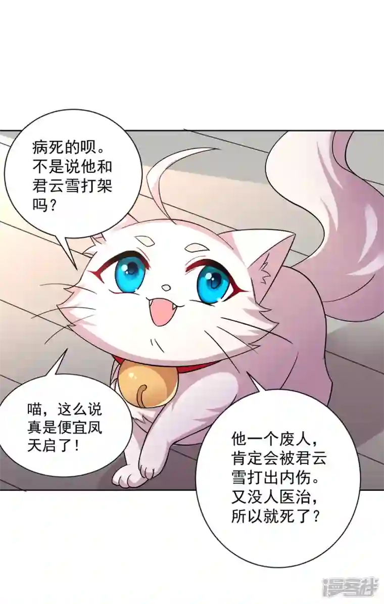 我在异界养男神：神医九小姐第181话 凤天启之死
