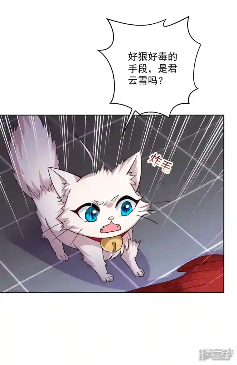 我在异界养男神：神医九小姐第181话 凤天启之死